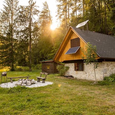 Marko'S Eco Cabin Bled Kültér fotó